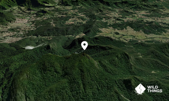 Mount Warning / Wollumbin