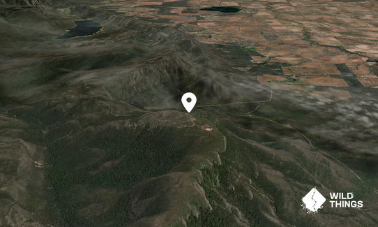 Mount William
