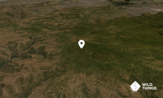 Consuelo Tableland