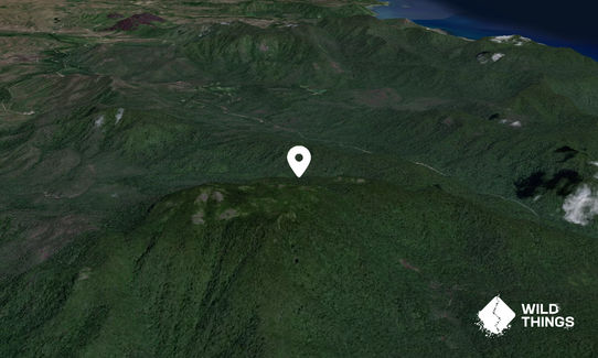 Mount Finnigan
