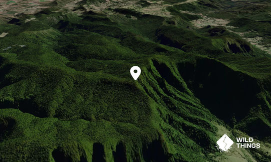 Mount Bithongabel