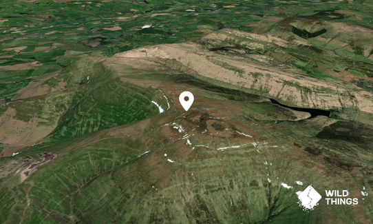 Waun Fach