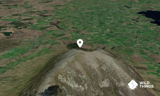 Nephin