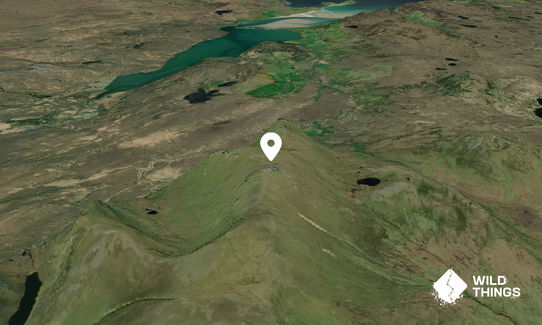 Ben Loyal