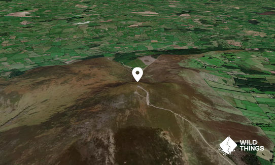 Slievenamon