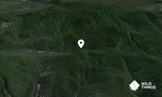Mount McAlister