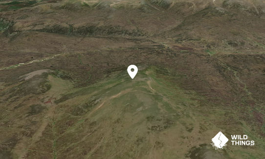 Carn an Fhidhleir (Carn Ealar)