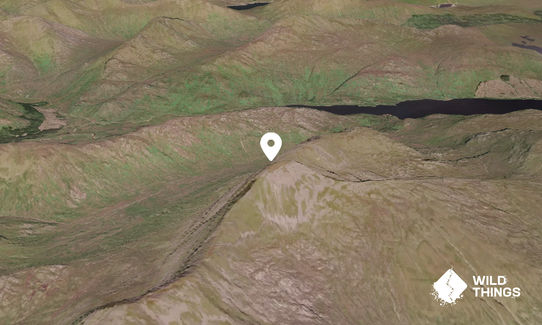 Gulvain (Gaor Bheinn)