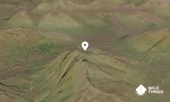 Ciste Dhubh