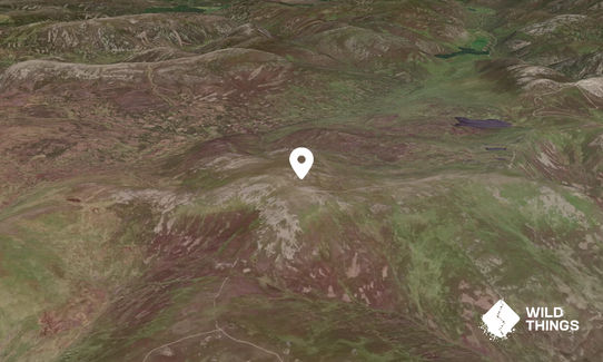 Carn a' Gheoidh