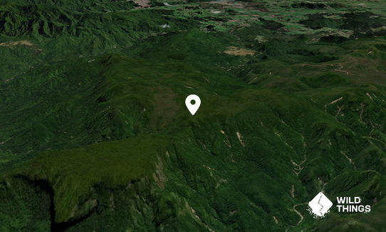 Mount Rowe