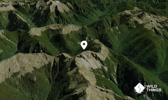 Nugget Knob