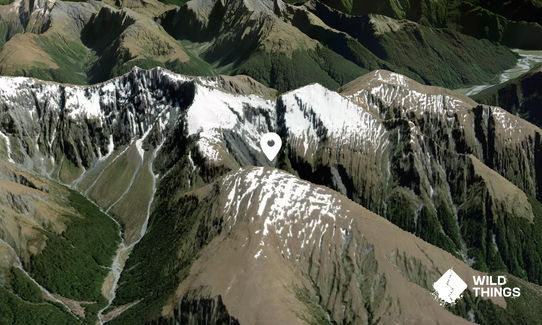 Cross Peak
