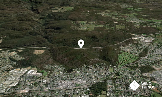 Mt Alexandra