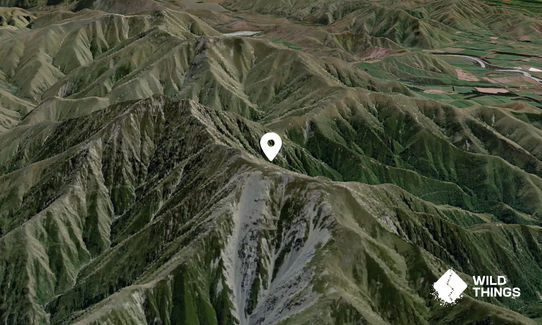 Middle Mt Peel