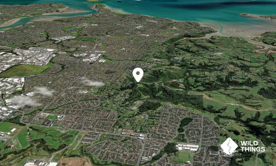 Puke-i-Aki-Rangi (Puke Ariki)