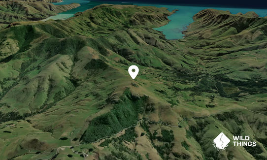 Montgomery Peak