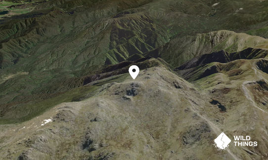 Mount Townsend