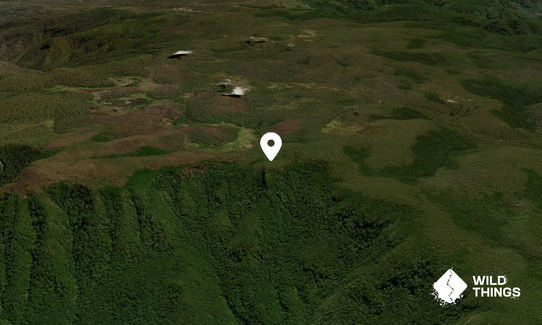 Careys Peak