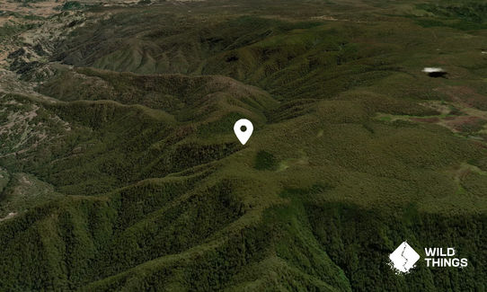 Mount Barrington