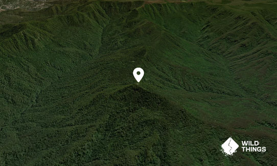 Mount Allyn