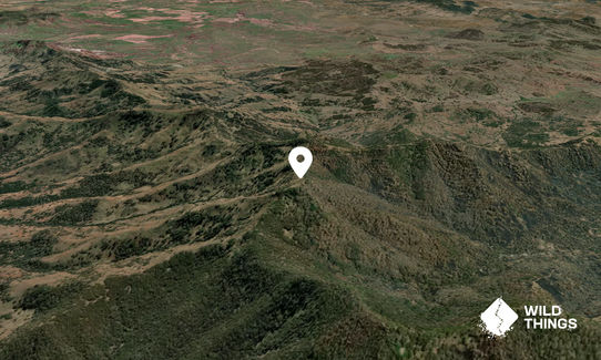 Crawney Mountain