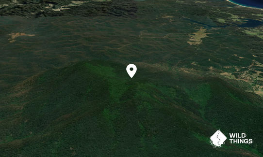 Gulaga