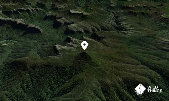 Pigeon House Mountain