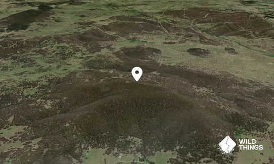 Mount Duval