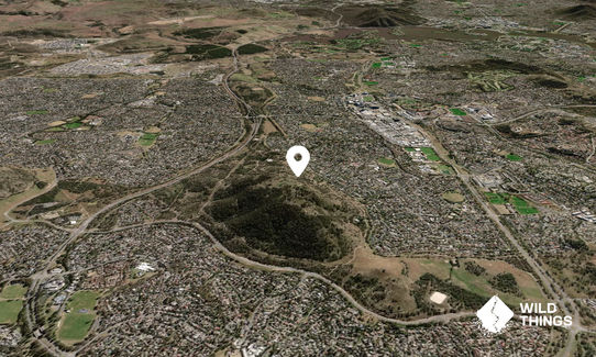 Mount Taylor