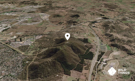 Mount Majura
