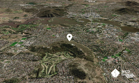 Red Hill
