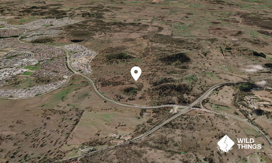 Burnt Stump Hill