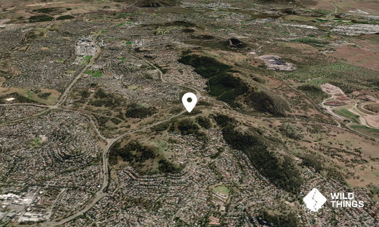Mount Wanniassa