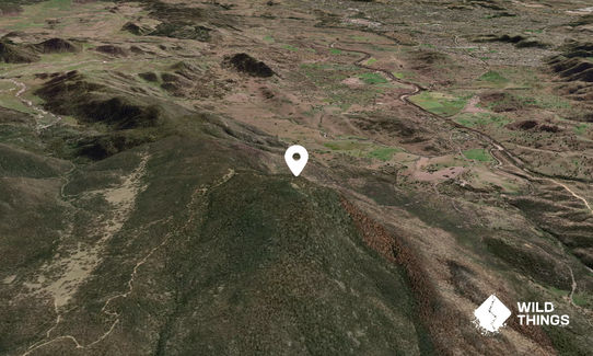 Mount Tennent