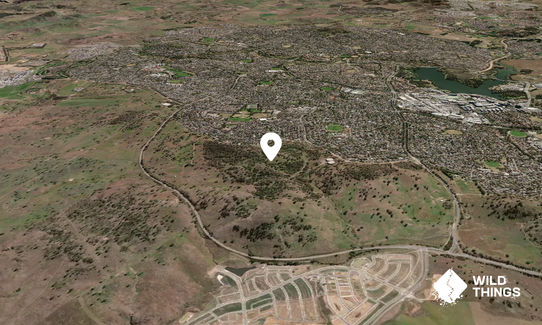 Bunny Hill