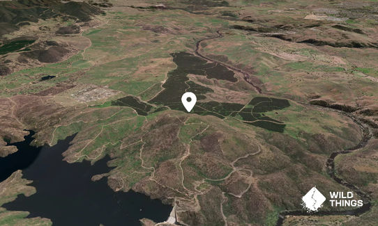 Mt McDonald