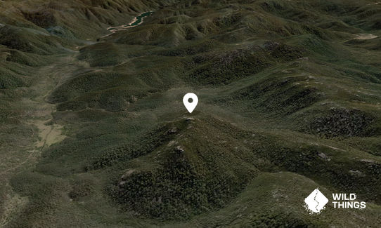 Coronet Peak