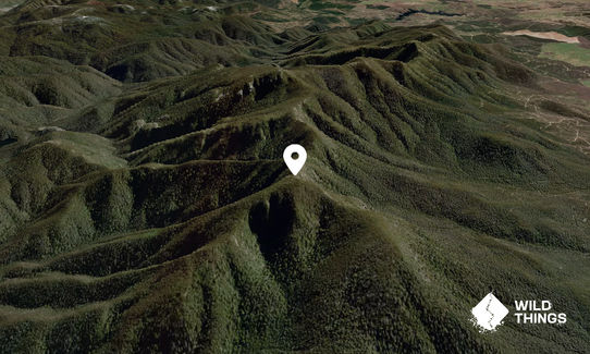 Mount Domain