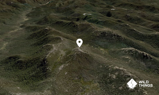 Mount Kelly