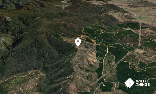 Uriarra Hill