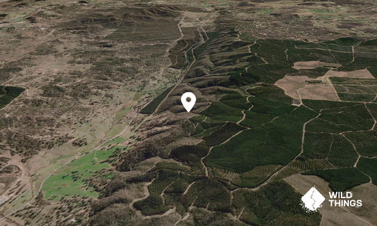 Mount Reedy