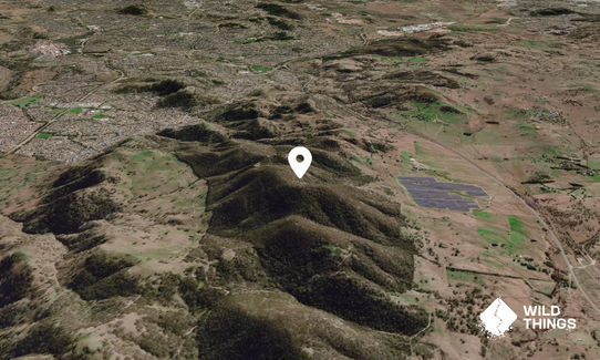 Mount Rob Roy