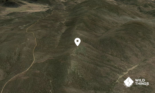 Shanahans Mountain