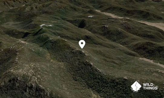 Mt Mavis