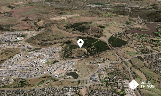 Bold Hill
