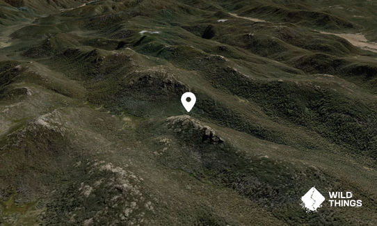 Mount Burbidge