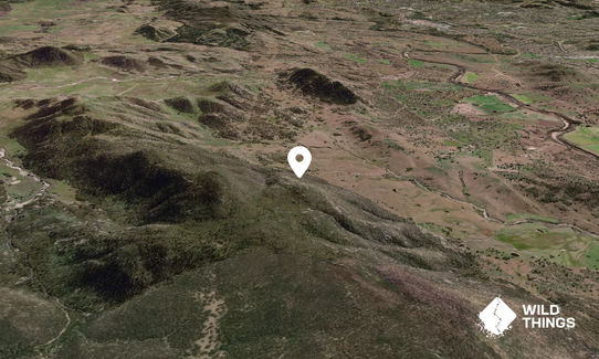 Mt Evans