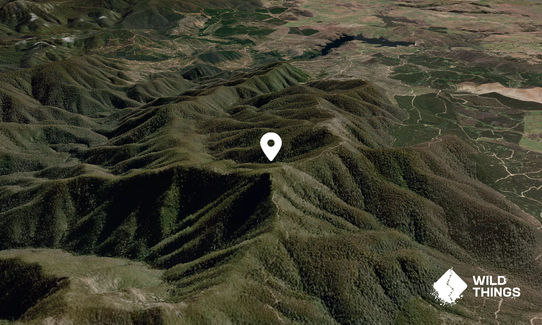 Camels Hump