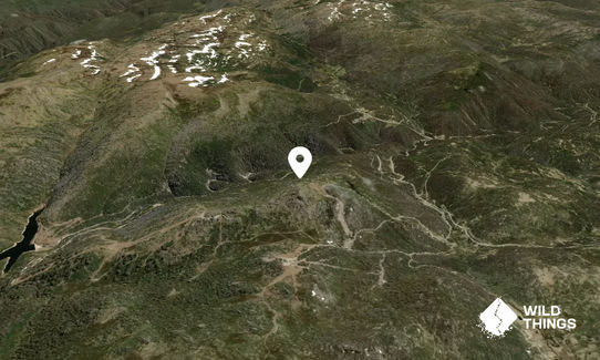 Blue Cow Mountain